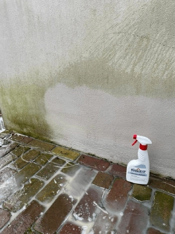 Afbeelding voor: Gemakkelijk schimmels verwijderen met de Schimmel-Reiniger Afbeelding voor: Gemakkelijk schimmels verwijderen met de Schimmel-Reiniger